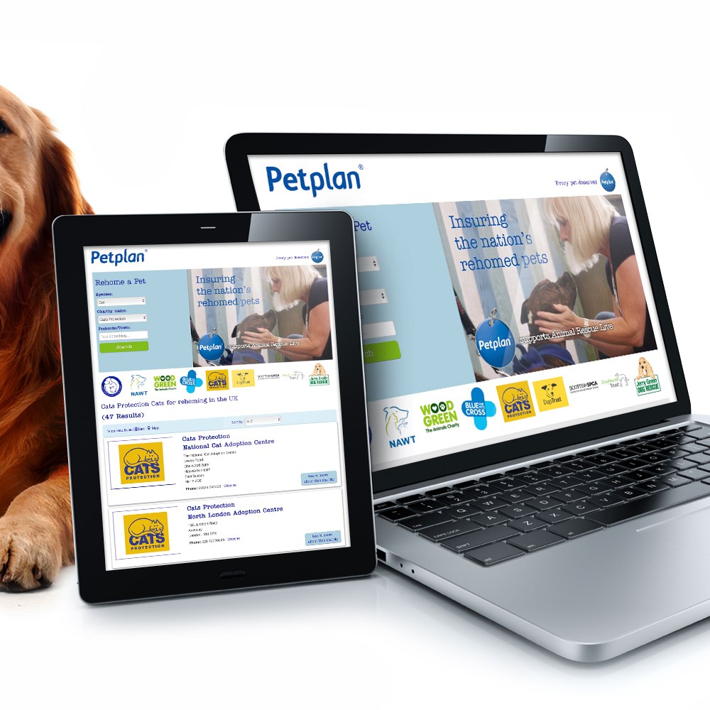 Petplan Rehome a Pet Red Ant Solutions